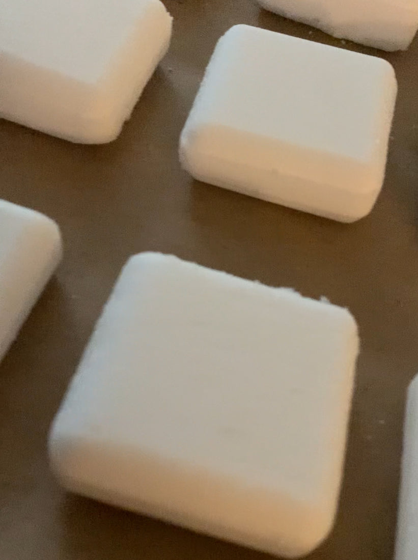 Eucalyptus Peppermint Shower Steamer